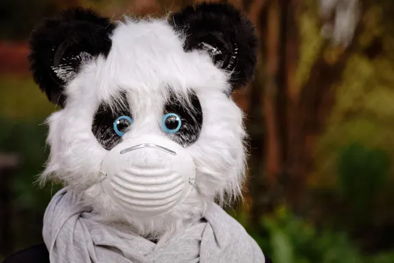 Kazino Mars Bet Atbalsts